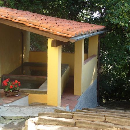 Il Podere Di Giada Bed & Breakfast Bagni di Lucca Ngoại thất bức ảnh